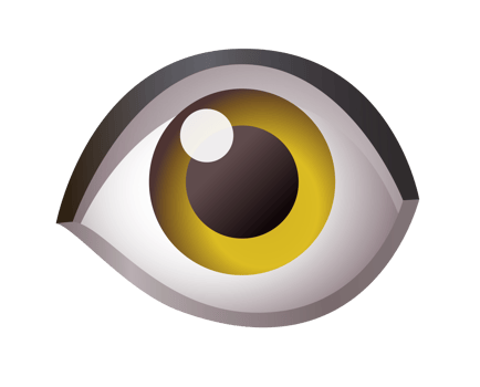Human eye, looking forward icon png