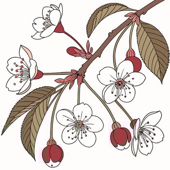 Summer Spring Blooming Flower Nature frame on Wooden Board vector