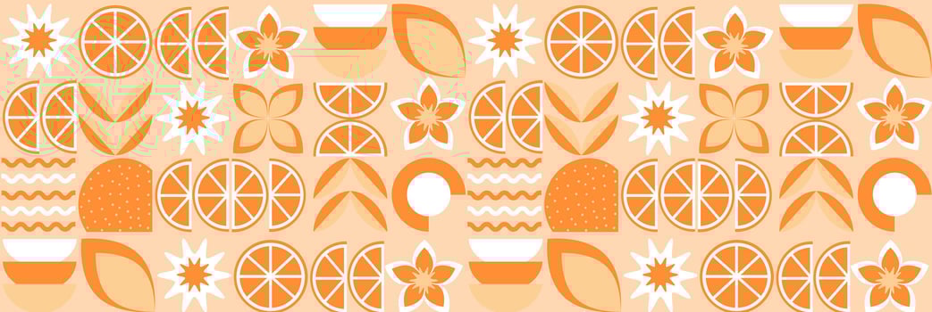 Orange fruit abstract geometric pattern in bauhaus and minimalism style. Natural organic vector