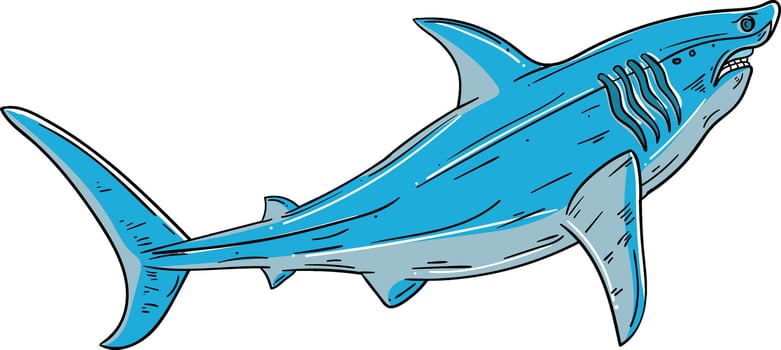 shark clip art vector