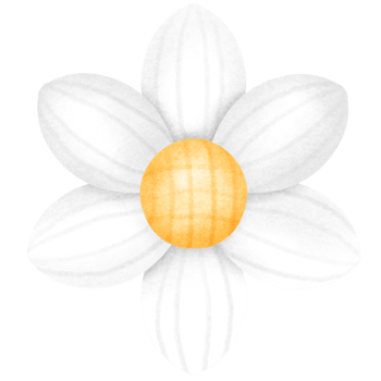 White watercolor flower clipart png