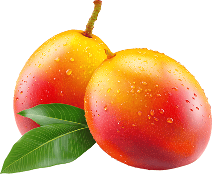 mango fruit tropical transparent png