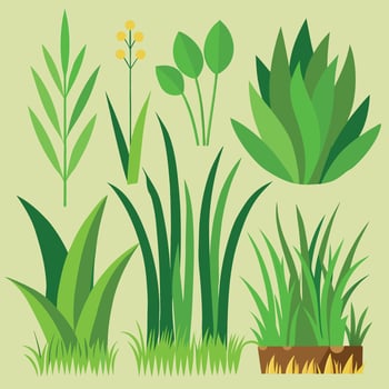 Realistic grass banner template collection vector