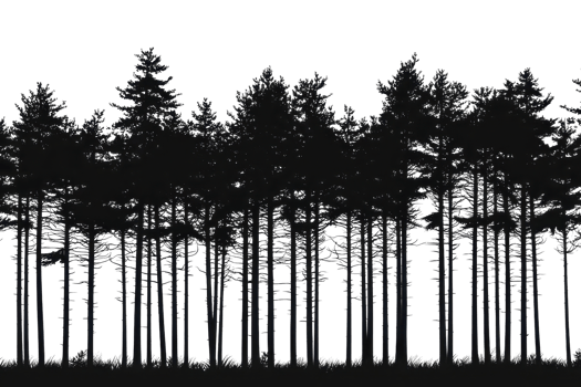 A silhouette of dense trees against a dark background, creating a dramatic and mysterious forest scene. png