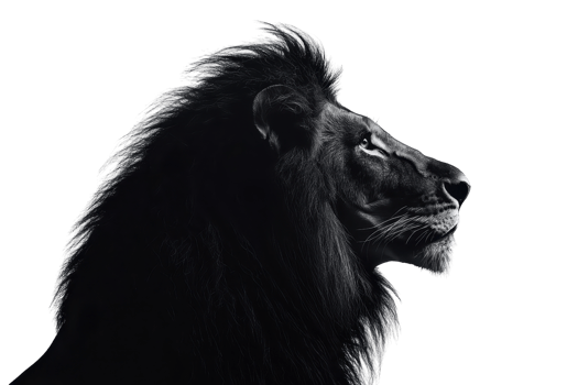 A majestic lion's profile, showcasing its powerful features and flowing mane in striking detail. png