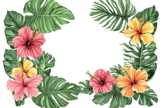 A vibrant arrangement of hibiscus flowers in shades of pink, yellow, and orange, surrounded by lush green tropical leaves. png