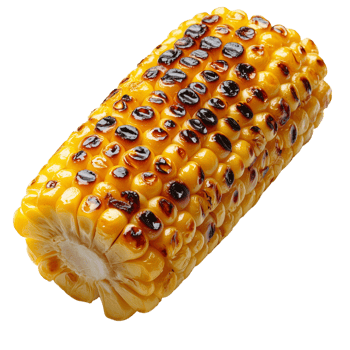 Deliciously Grilled Corn Cob with Charred Golden Kernels png