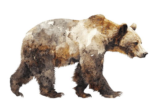 A bear depicted in a watercolor style, showcasing earthy tones and a natural walking posture. png