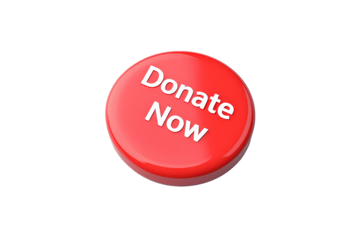 A bright red button with the text Donate Now prominently displayed on its surface. png