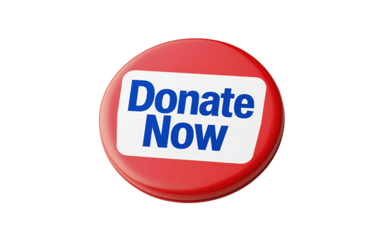 A bright red button with the text Donate Now prominently displayed in blue. png