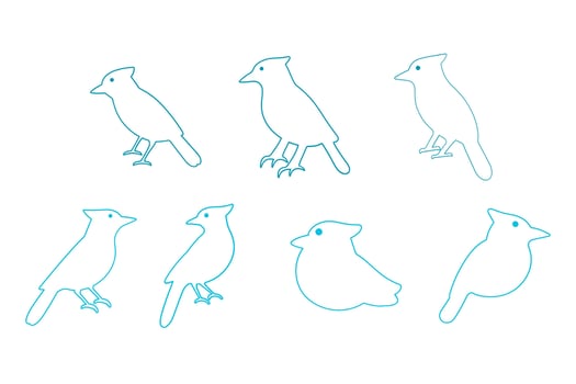 Outline Blue Jay Bird Illustration vector