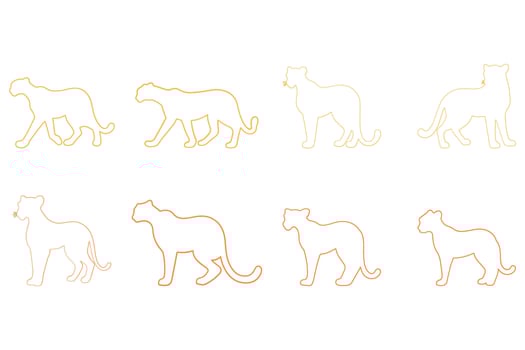Outline Cheetah Illustration vector
