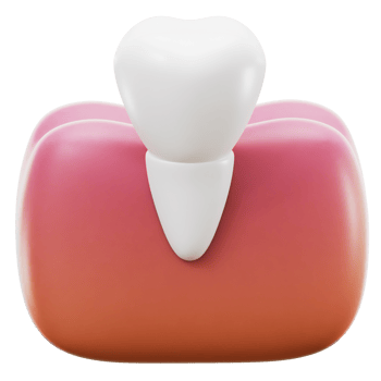 Insicor Icon 3D illustration png