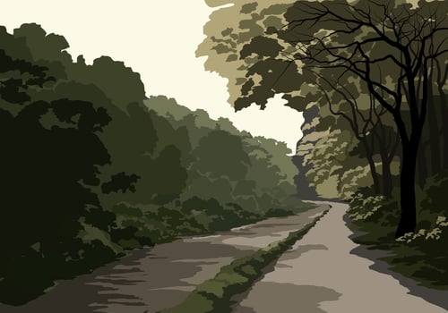 Forest landscape with dirt road vector