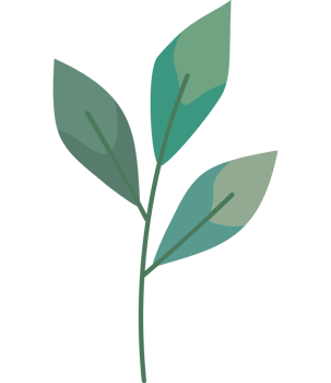 green leaves plant natural png