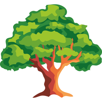 oak tree isolated png
