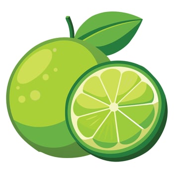 Close-up of limes against white background vector