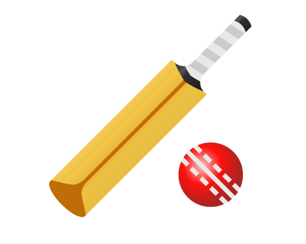 Brown cricket bat and red ball icon png