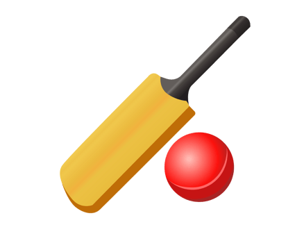Brown wooden cricket bat and red ball icon png
