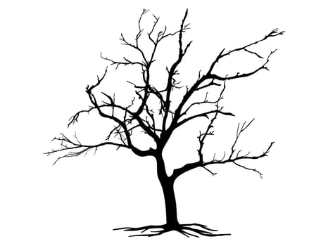 Black Branch Tree and roots or Naked silhouettes. vector