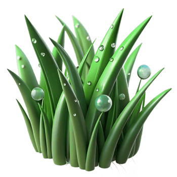 3D close-up of green grass with dew drops. png