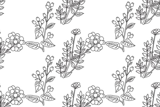 Botanical Line art abstract seamless plant pattern with wildflowers illustration.Black and white outline repeating floral print. Graphic design for Wallpaper Wedding Cover Wrapping pack Textile vector