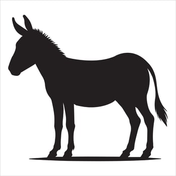 Catalan Donkey Silhouette for Creative Illustration vector