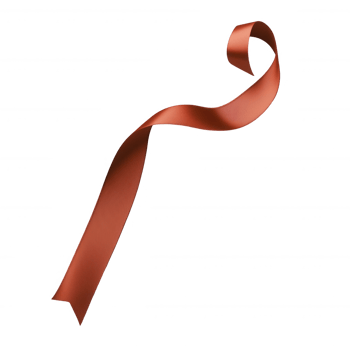 A graceful, flowing red ribbon curled elegantly against a transparent background. png