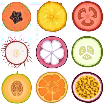 Set of slices fruit hand drawn vector