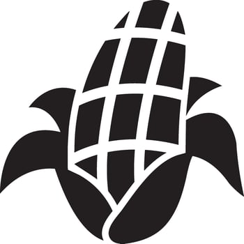 Corn vegetable icon vector