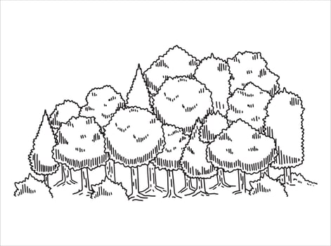 Tree drawing set. Doodle contour oak. Nature plant with leaf. Line forest element. Outdoor environment landscape. Sketch garden vector