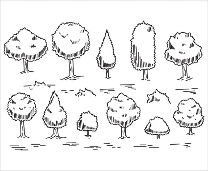 Tree drawing set. Doodle contour oak. Nature plant with leaf. Line forest element. Outdoor environment landscape. Sketch wood garden vector