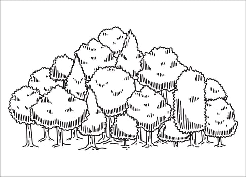 Tree drawing set. Doodle contour oak. Nature plant with leaf. Line forest element. Outdoor environment landscape vector