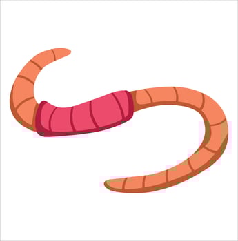 Worm bait. Cartoon earth creep. Cartoon insect animal. Invertebrate bug. vector