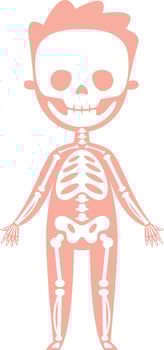 Stylized x ray illustration of a child's skeleton, highlighting bones and skull against a pink silhouette, perfect for educational and medical contexts in anatomy and health vector