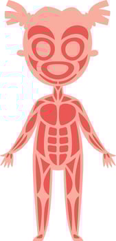 Simple and cute cartoon style illustration representing muscular system of a girl, useful for children's education or medical publications explaining human anatomy vector
