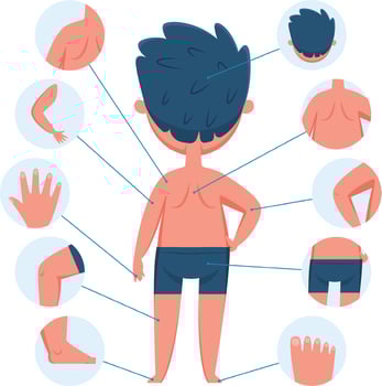 Educational infographic showing different body parts of a boy, including head, shoulder, arm, back, hand, leg, knee and foot, useful for teaching anatomy to children vector