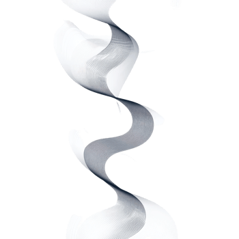 Abstract flowing curves create dynamic patterns on a clean transparent background with intricate line work and soft shadows, Abstract flowing curve lines transparent background png