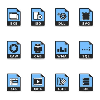 File formats icon in two tone color illustration vector