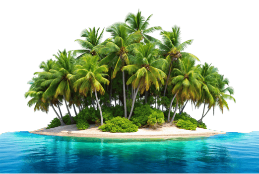 Beautiful small tropical fish brightening your aquarium experience png