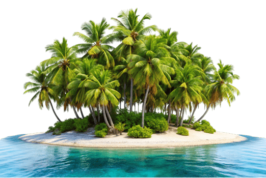 Beautiful small tropical plants perfect for indoor gardens png