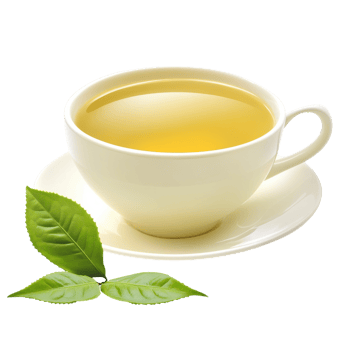 Green Tea Fresh Leaves on transparent background. png