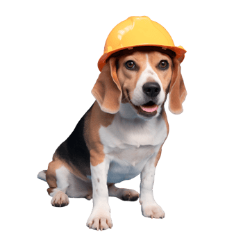 Beagle Dog Wearing Construction Hat png
