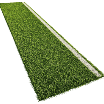 a grassy soccer field with white lines transparent background. png