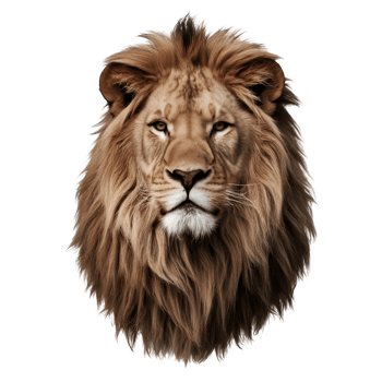 Majestic Lion Head png