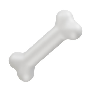 Bone icon 3d illustration render. Human bone 3d rendering png