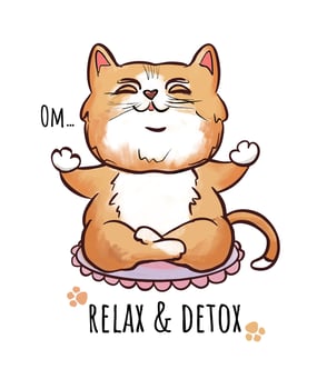 red cat in meditation relax and detox vector