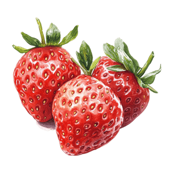 Beautiful watercolor drawing of fresh strawberries isolated on a transparent background showcasing vibrant colors and detail, strawberries in drawing isolated on transparent background png
