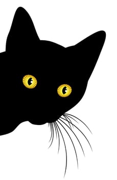 The black cat silhouette. vector