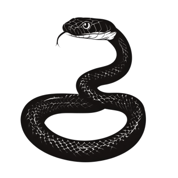 A striking silhouette of a snake curled on a transparent background showcasing its distinctive shape and features, Snake silhouette. Isolated snake isolated on transparent background png